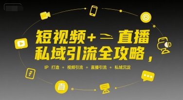 私域引流全攻略：短视频与直播IP打造，流量获取与沉淀策略插图