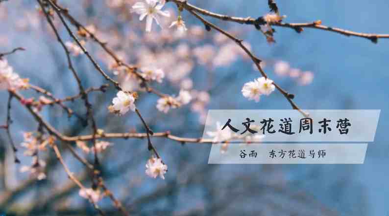 谷雨老师《人文花道美学营》插花艺术教程插图1