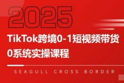 大亿老师拆解TikTok跨境带货全攻略：短视频带货、盈利闭环与系统优化插图