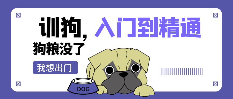 训犬视频课程：从入门到精通，涵盖初级、中级、高级训练技巧插图